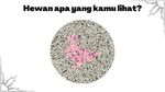 Buktikan Kamu Nggak Buta Warna! Harusnya Sih Bisa Sat-set Jawab 5 Soal Ini
