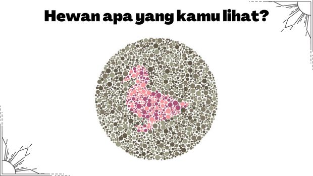 Buktikan Kamu Nggak Buta Warna! Harusnya Sih Bisa 'Sat-set' Jawab 5 Soal Ini