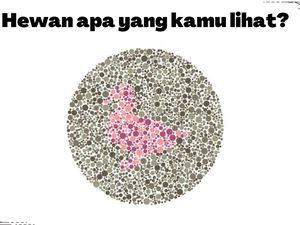 Buktikan Kamu Nggak Buta Warna! Harusnya Sih Bisa Sat-set Jawab 5 Soal Ini