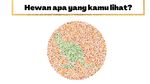 Buktikan Kamu Nggak Buta Warna! Harusnya Sih Bisa Sat-set Jawab 5 Soal Ini