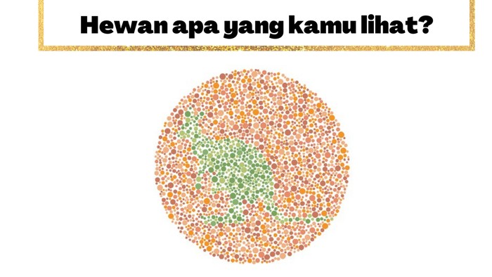 Buktikan Kamu Nggak Buta Warna! Harusnya Sih Bisa 'Sat-set' Jawab 5 Soal Ini