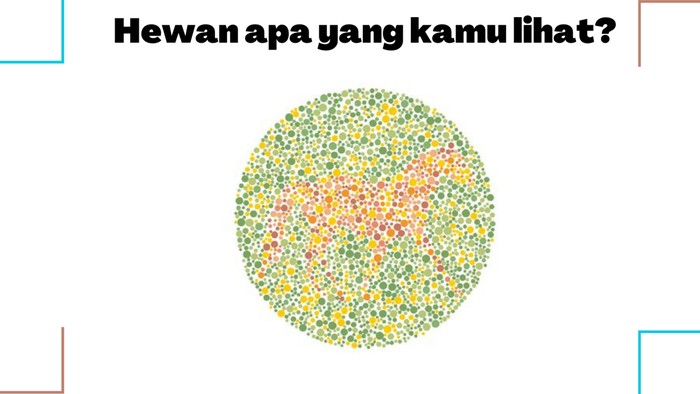 Buktikan Kamu Nggak Buta Warna! Harusnya Sih Bisa 'Sat-set' Jawab 5 Soal Ini