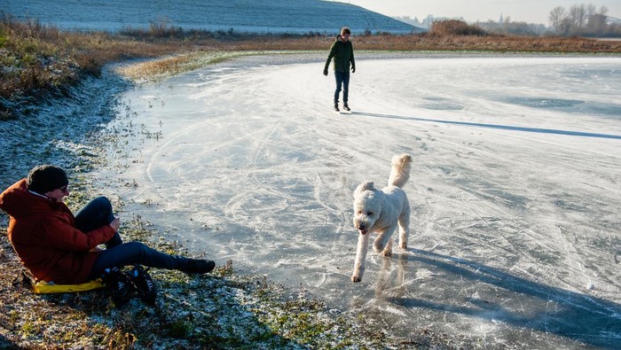 Asiknya Warga Belanda Berseluncur di Danau yang Membeku NIJMEGEN, NETHERLANDS - 2022/12/15: An old man is seen skating on natural ice. After three days of sub-zero temperatures (around -7 degrees Celsius during the night), the water of some lakes froze. Some skaters took the chance despite the low levels of water, that provided a small part of ice surface large enough to skate, on the 'Oude Waal' lake. (Photo by Ana Fernandez/SOPA Images/LightRocket via Getty Images)