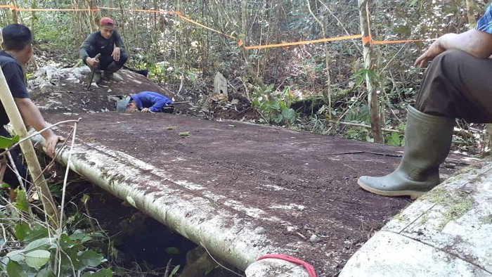 Bangkai pesawat diduga peninggalan PD II di hutan Kotabaru.