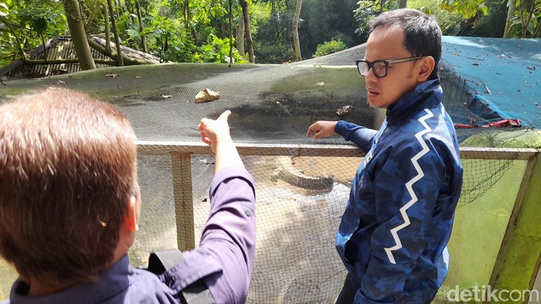 BKSDA Jabar bersama Walkot Bogor Bima Arya kembali mendatangi Bogor Mini Zoo usai viral bayi monyet mati dalam kandang. Namun kandang monyet sudah kosong. (M Sholihin/detikcom)