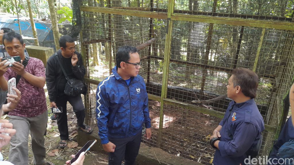 BKSDA Jabar bersama Walkot Bogor Bima Arya kembali mendatangi Bogor Mini Zoo usai viral bayi monyet mati dalam kandang. Namun kandang monyet sudah kosong. (M Sholihin/detikcom)