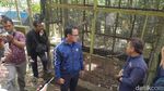 Potret Bima Arya-BKSDA Sidak Bogor Mini Zoo Usai Viral Monyet Mati