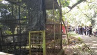Bima Arya bertanya ke pihak pengelola Bogor Mini Zoo terkait kandang monyet yang sudah kosong. Pengelola Bogor Mini Zoo mengaku kandang kosong karena monyet yang sebelumnya ada sudah dikembalikan ke penjual di Pasar Pramuka, Jakarta (M Sholihin/detikcom)