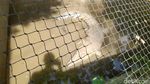 Potret Bima Arya-BKSDA Sidak Bogor Mini Zoo Usai Viral Monyet Mati