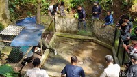 Saat sidak, BKSDA Jabar dan Bima Arya juga mengecek kondisi kandang hewan lain yang ada di Bogor Mini Zoo. (M Sholihin/detikcom)