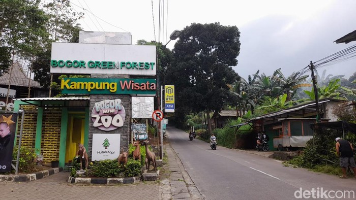 Bogor Mini Zoo (M Sholihin/detikcom)