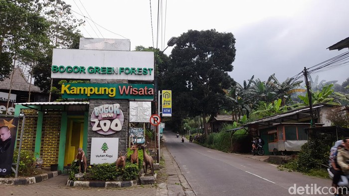 Bogor Mini Zoo (Muchamad Sholihin/detikcom)