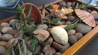 Pengunjung yang satu ini dibuat bingung, karena dia memesan hidangan seafood yang datang justru batu dan hiasan kerang. Kira-kira makanannya di sebelah mana ya? Foto: Site News/Pool