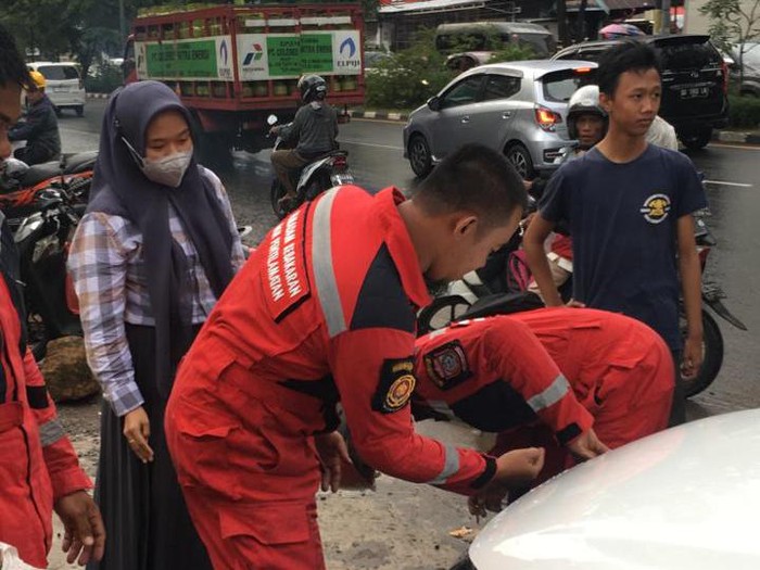 Evakuasi biawak yang masuk ke mobil warga di Makassar.