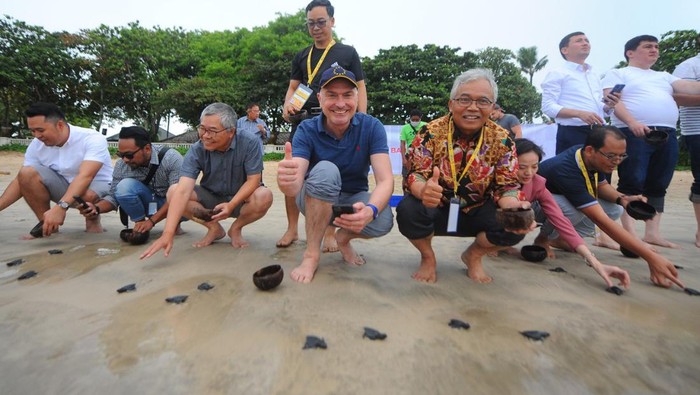 Jaga Kelestarian Alam dengan Melepasliaskan Tukik ke Lautan Sebagai upaya langkah konservasi yang terus dilakukan Bank BTN menjaga keseimbangan lingkungan, sedikitnya 10 ribu tukik telah dikembalikan ke habitat asalnya di lautan lepas.