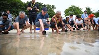 Pelepasan tukik menjadi kegiatan yang sudah dimulai sejak 2021 oleh Bank BTN guna ikut menjaga kelestarian alam, terutama habitat penyu di Bali.