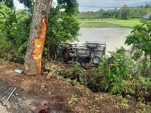 Jalan Licin, Pikap Angkut Buruh Terjun ke Sawah di Jembrana
