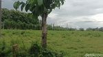 Ini Lho Lokasi Lahan Rumah Hadiah Negara buat Jokowi