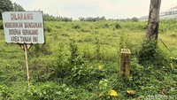 Pada lahan tersebut, terdapat plang bertulisan Dilarang Mendirikan Bangunan Didepan Sepanjang Area Tanah Ini. Di samping tulisan itu, terdapat patok berwarna kuning, dengan samar bertulisan Pemprov Jateng.Foto: Tara Wahyu NV/detikJateng