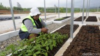 Edupark diproyeksikan mampu membangun kemandirian pangan, energi dan ekonomi warga sekitar perusahaan.  