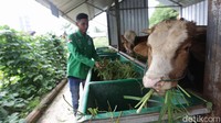 Progam edupark ini multimanfaat. Hasil dari tanaman maupun hewan ternak yang dikelola bisa memenuhi konsumsi harian warga maupun untuk menambah PAD (pendapatan asli daerah) desa melalui BUMDes.    