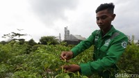 Edupark ini merupakan bagian dari progam Perkebunan, Pertanian, Perikanan dan Peternakan Terpadu (P4T) PT Semen Gresik.  
