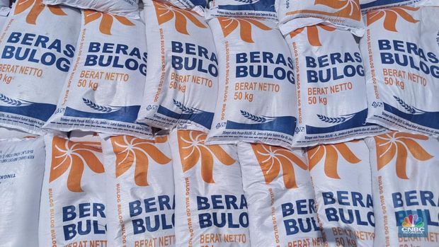 Menteri Perdagangan Zulkifli Hasan, Direktur Utama Perum Bulog Budi Waseso, Kepala Bapanas Arief Prasetyo Adi memantau bongkar muatan 5.000 ton beras impor asal Vietnam di Pelabuhan Tanjung Priok, Jumat (16/12/2022). (CNBC Indonesia/Emir Yanwardhana)