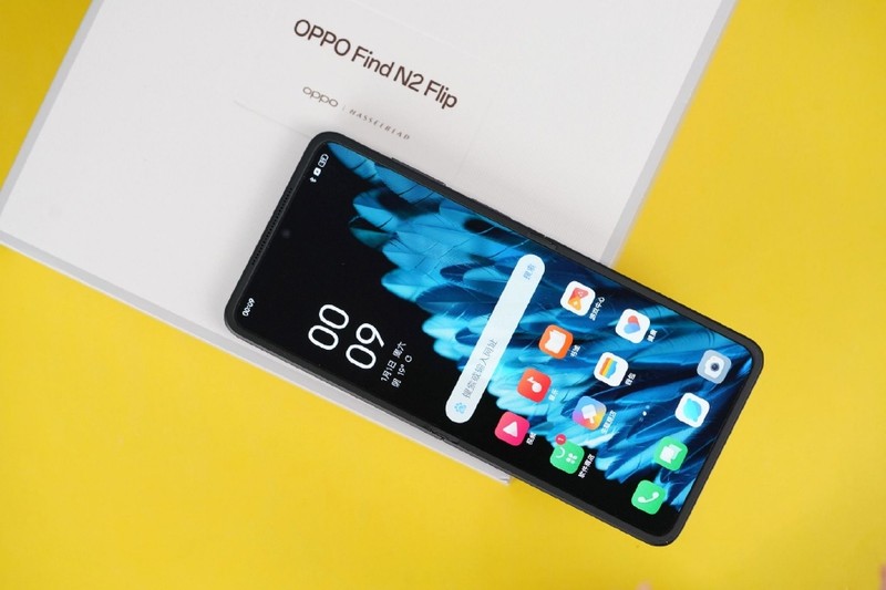 Oppo Find N2 Flip