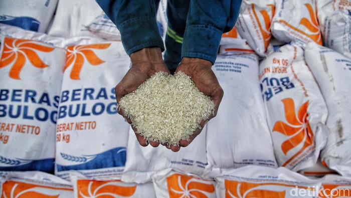 Pemerintah memberikan izin impor beras sebanyak 500 ribu ton kepada Bulog. Hari ini 5.000 ton beras asal Vietnam masuk lewat Pelabuhan Tanjung Priok, Jakarta.