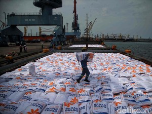 Biang Kerok Penyerapan Beras Bulog Rendah Berujung Impor 500.000 Ton