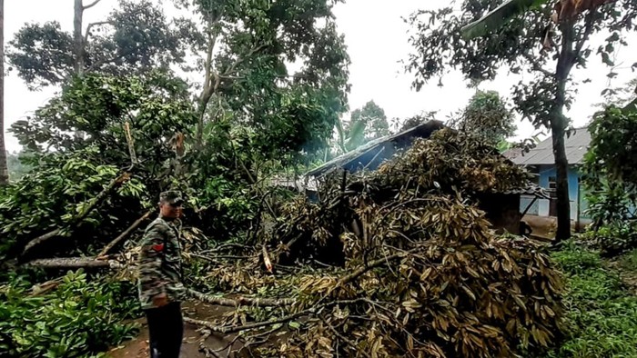 Rumah warga tertimpa batang pohon, sebuah jembatan juga dikabarkan rusak akibat pohon tumbang imbas angin kencang di Sukabumi.