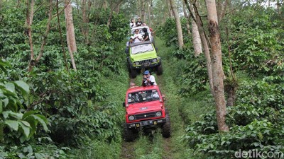 Seru Abis... Offroad Sambil Keliling Kebun Kopi Banaran Semarang