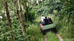Seru Abis... Offroad Sambil Keliling Kebun Kopi Banaran Semarang
