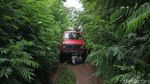 Seru Abis... Offroad Sambil Keliling Kebun Kopi Banaran Semarang