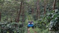 Jalur sepanjang 5 kilometer ini biasanya selesai ditempuh sekitar 40 menit. Biaya untuk paket trip menyusuri jalur di perkebunan kopi yang sejuk itu dibanderol Rp 500 ribu per mobil dengan kapasitas 4 orang penumpang.