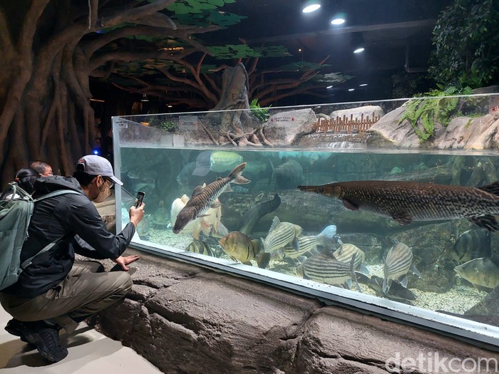 Tema Avatar di Jakarta Aquarium Tema Avatar di Jakarta Aquarium
