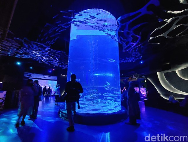 Potret: Seru-seruan di Akuarium Terbesar di Mal Jakarta