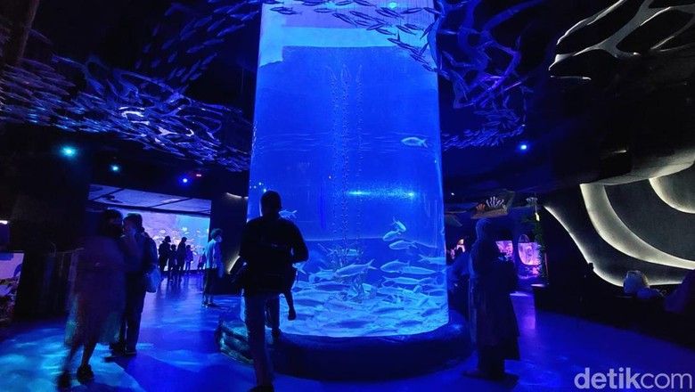 Tema Avatar di Jakarta Aquarium Tema Avatar di Jakarta Aquarium