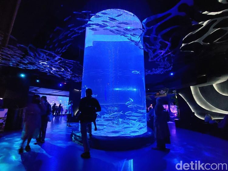 Potret: Seru-seruan di Akuarium Terbesar di Mal Jakarta