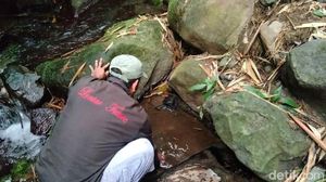 Warga Temukan Mata Air Berasa Manis di Kaki Gunung Ciremai