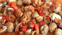 Sambil menunggu makanan tiba, olahan kerang dara kerap dipesan di warung seafood. Kamu bisa bikin menu itu di rumah dengan balutan saus Padang. Begini resepnya. Foto: iStock