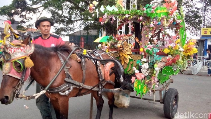 Aktivitas kusir delman Puhun bersama kuda sandelnya