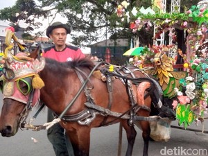 Nestapa Kusir Kuda Kuningan di Taman Kota