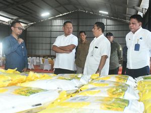 RMS Pimpin Komisi IV DPR Sidak Bulog Pinrang terkait 500 Ton Beras Hilang