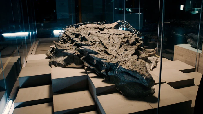 Fosil dinosaurus