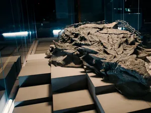 Melihat Fosil Dinosaurus Nyaris Utuh yang Ditemukan di Kanada