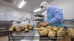 Begini Proses Memasak Makanan di Kantin Sekolah Jepang yang Higenis