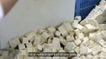 Begini Proses Memasak Makanan di Kantin Sekolah Jepang yang Higenis