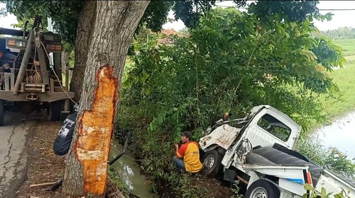 Kecelakaan lalu lintas pikap nyebur sawah di Jalan Denpasar-Gilimanuk, Jembrana, Bali.