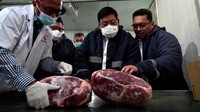 Arief menjelaskan, mendatangkan daging sapi dari luar merupakan bagian dari mitigasi untuk mengantisipasi terjadinya kelangkaan stok yang berdampak pada lonjakan harga daging.